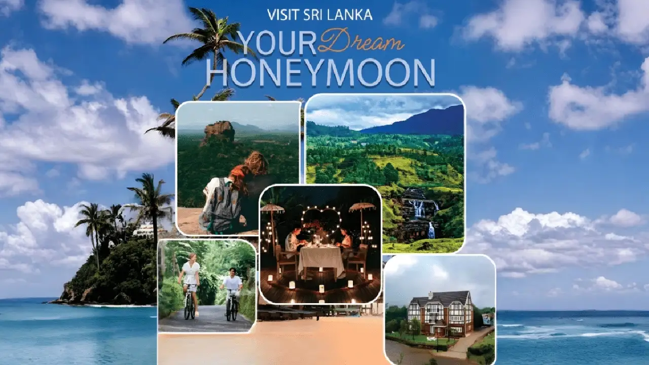 Sri Lanka Honeymoon Packages: Romantic Getaways You'll Love